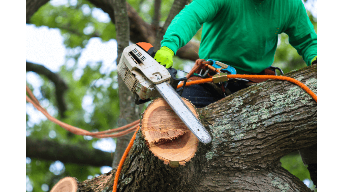 DIY Done Right: Protecting Your Hearing During Home Improvement Projects